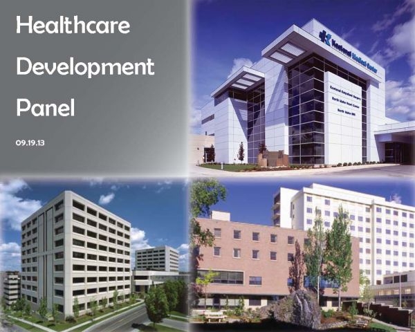 Healthcare Development Panel
